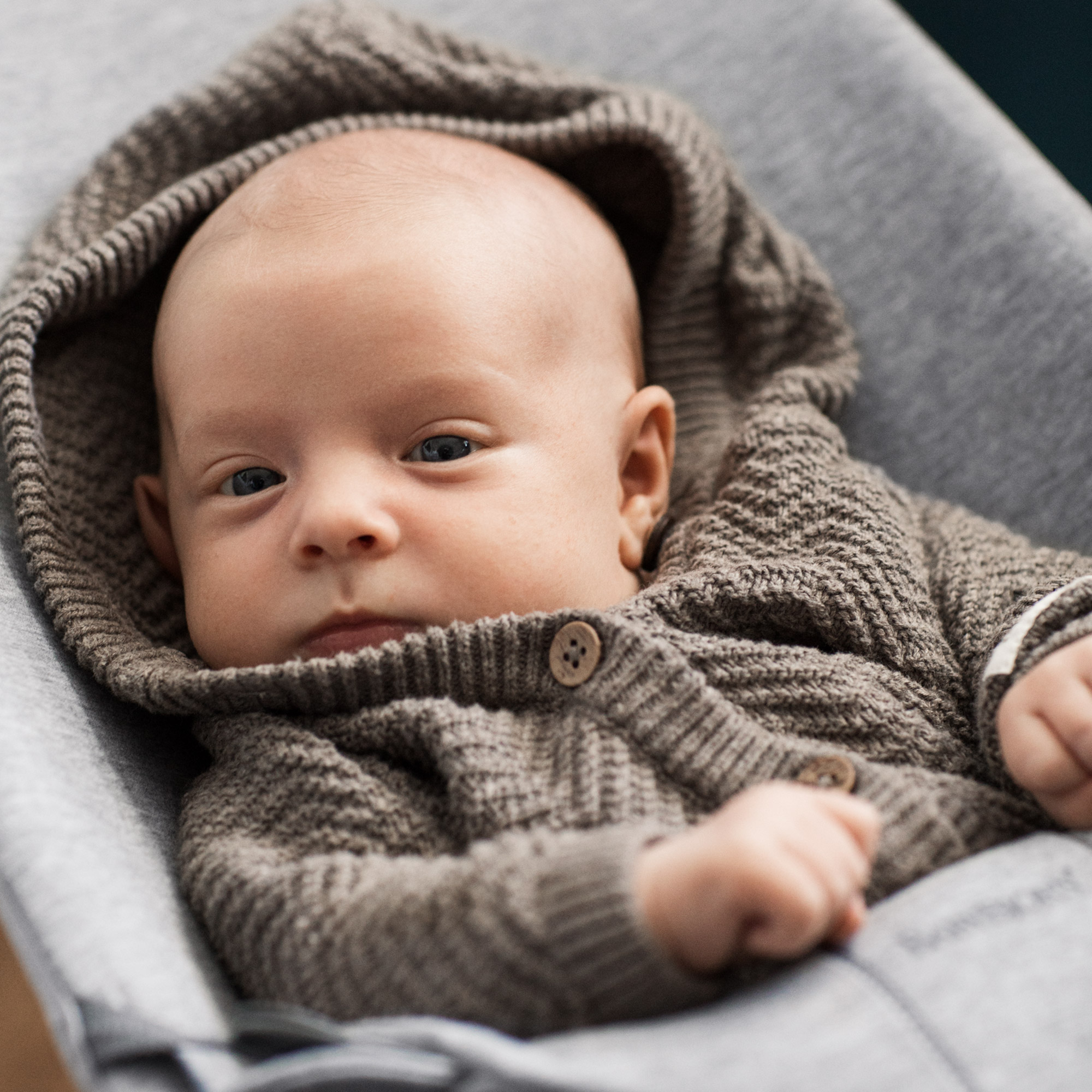 babybjorn light ou easy go
