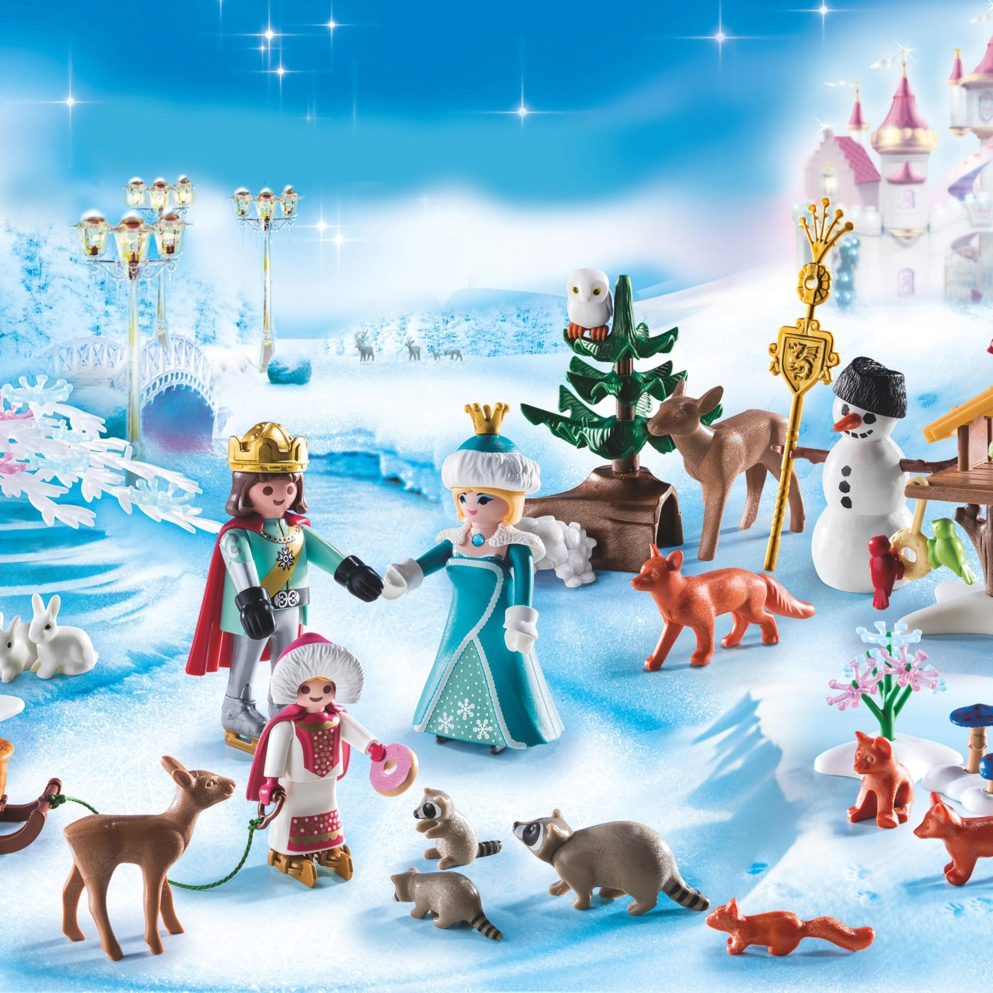 Playmobil Advent Calendar Royal Ice Skating Trip Kids / Girls Christmas
